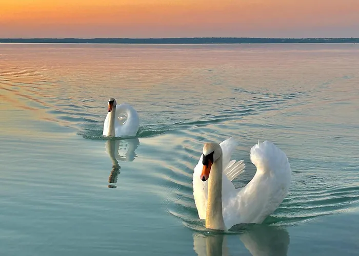 アパート Temoro *