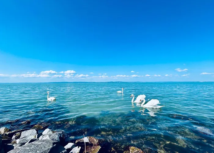 アパート Temoro シオーフォク